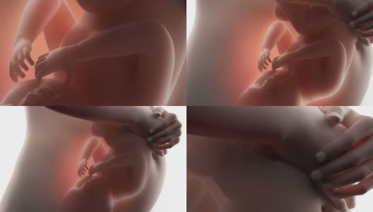 胎儿活动的孕妇高清在线视频素材下载