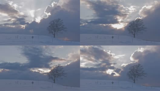 日本北海道，日落时分，北北的雪地高清在线视频素材下载