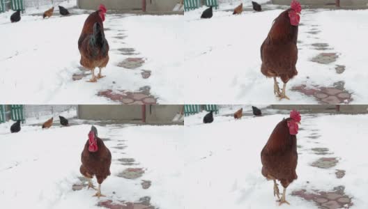 冬天雪旋塞高清在线视频素材下载