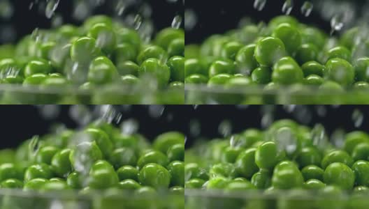 水浇在绿豌豆上高清在线视频素材下载