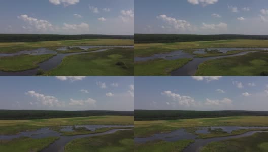 江水在原野中，绿草在河谷中架空。没有人在春天的太阳日自然景观。自然美景。森林中的田园绿意。海岸农田绿化高清在线视频素材下载