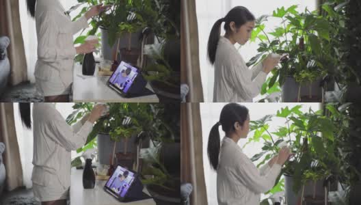 女孩用笔记本电脑通过会议视频聊天和她的同事聊天，在家在线学习高清在线视频素材下载