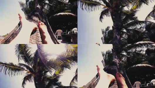 加勒比海滩椰子树和秋千，视频4k高清在线视频素材下载
