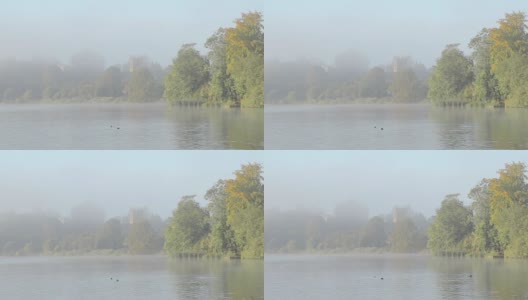 通过清晨的薄雾在一个美丽的湖高清在线视频素材下载