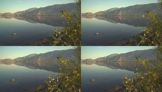 《Morning Reflection》，奥索尤斯湖摄影车拍摄了4K超高清高清在线视频素材下载