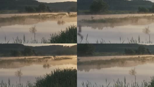 日出。早晨的风景。清晨的天空和它在水面上的倒影。夏天的早晨。河上有雾。远处渔夫在一只充气船上剪影高清在线视频素材下载