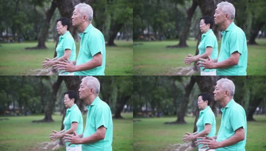 亚洲老夫妇在公园户外练习太极、气功的视频。抽象的爱与自然高清在线视频素材下载