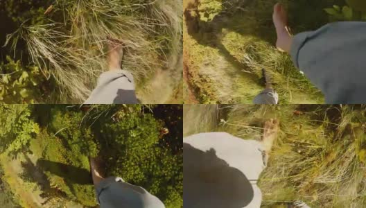 POV有人赤脚走在茂密的草地和绿色柔软的苔藓上，裤子是塞住的，从第一个人俯视高清在线视频素材下载
