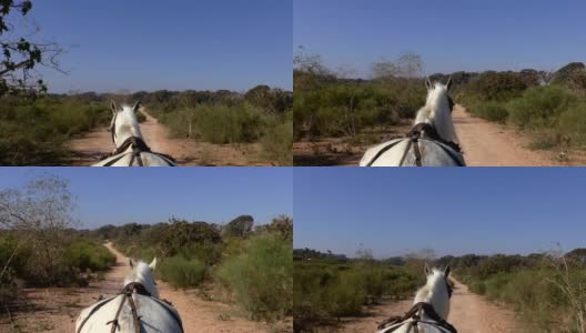 来自马车的非洲乡村景观高清在线视频素材下载