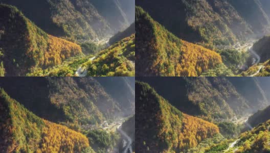在一片金色的日本落叶松森林后面是一个新的西藏村庄高清在线视频素材下载