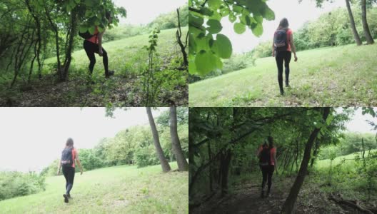中年美女徒步在树林中，走出森林到平原慢动作4k视频高清在线视频素材下载