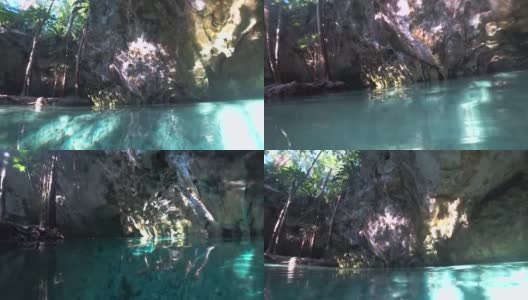 在墨西哥图卢姆的“Gran Cenote”天然泳池中，沿着热带树木游泳，沐浴在阳光中高清在线视频素材下载