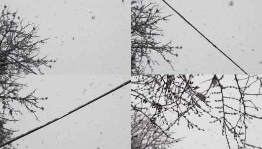 慢动作的雪花从天空飘落。看下面的树枝和权力linÐµs与雪高清在线视频素材下载
