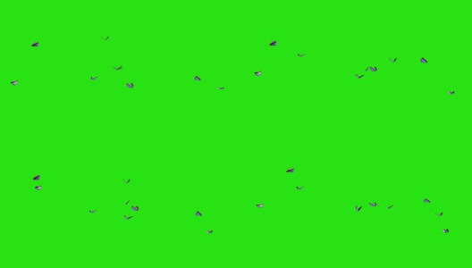 蓝色的蝴蝶-小群在绿色的屏幕上高清在线视频素材下载