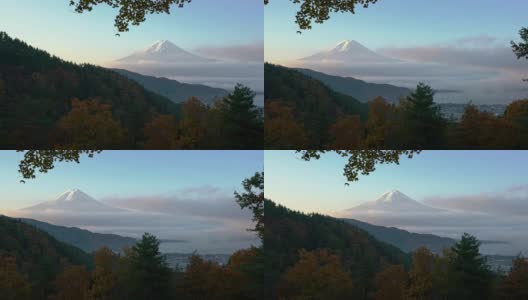 富士山的全景，雾海和红色的枫叶在秋天的早晨高清在线视频素材下载