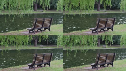 河边绿树下的公园长椅。高清在线视频素材下载