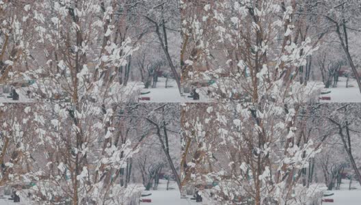 花园里的树木被厚厚的积雪覆盖着高清在线视频素材下载