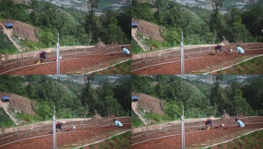 亚洲男性农民用手摇拖拉机在山坡上犁地高清在线视频素材下载