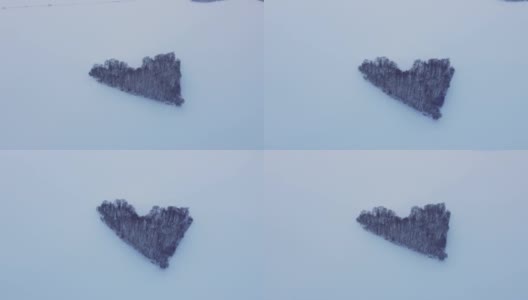 无人机拍摄的是一片真正的心形森林。雪地背景下的浪漫景象。情人节的冬天。高清在线视频素材下载