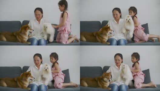 亚洲妈妈和女儿在家里快乐地和狗玩耍高清在线视频素材下载