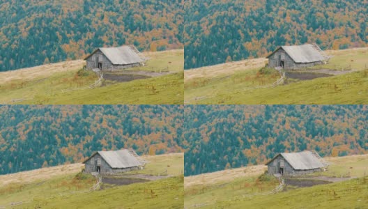 秋天，在风景如画的喀尔巴阡山脉的背景下，为牛群建造的旧木制废弃木屋高清在线视频素材下载