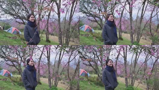 美丽的亚洲妇女步行与野生喜马拉雅樱花盛开在春天的花园高清在线视频素材下载