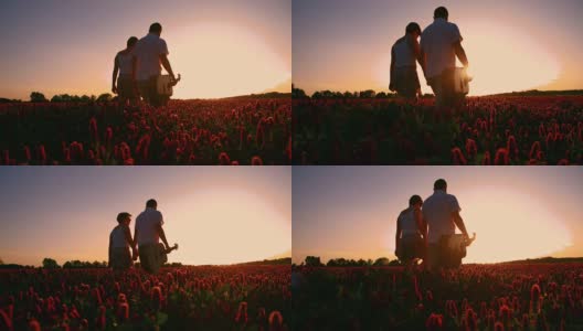 SLO MO浪漫的情侣漫步在夕阳下的花丛中高清在线视频素材下载