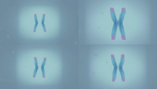 染色体端粒突出高清在线视频素材下载