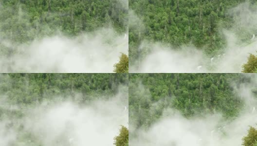 木雾笼罩-高清视频片段高清在线视频素材下载