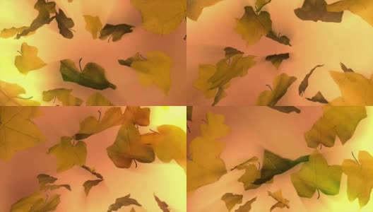 秋叶飘落的季节高清在线视频素材下载