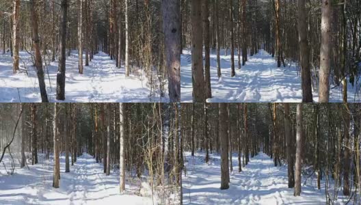 在大雪纷飞的冬天走在树林里，定格镜头拍摄高清在线视频素材下载