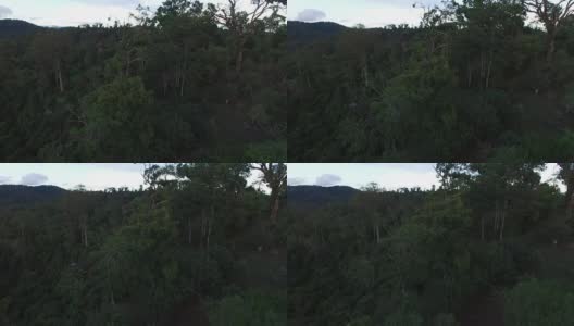 无人机在日落时在中国云南森林飞行的鸟瞰图高清在线视频素材下载
