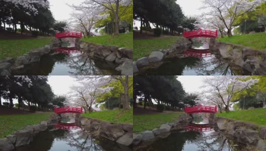 香川县加农寺市的春色高清在线视频素材下载
