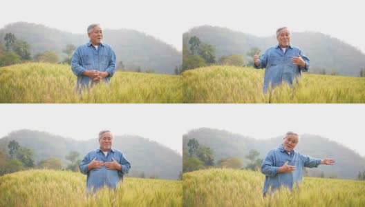 4K亚洲老农幸福地站在麦田里高清在线视频素材下载