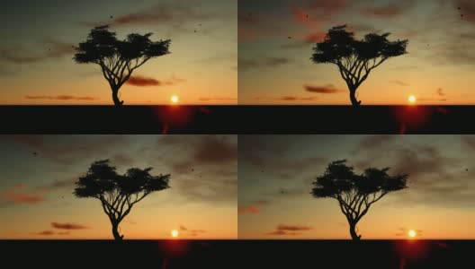 日落树景观和时间流逝的天空高清在线视频素材下载