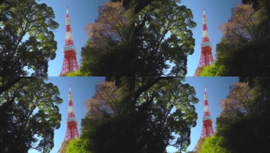 东京塔在绿色树顶，东京，日本高清在线视频素材下载