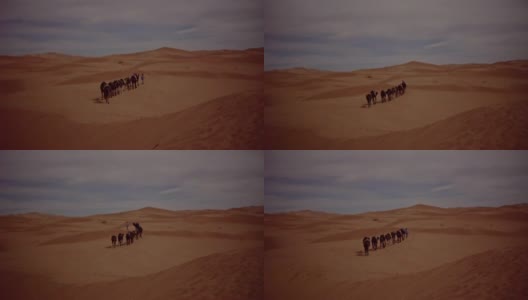 沙漠商队。骆驼高清在线视频素材下载