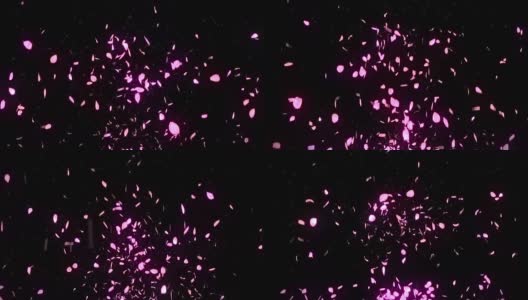 樱花花瓣落在黑色背景，循环闪烁动画，高清在线视频素材下载