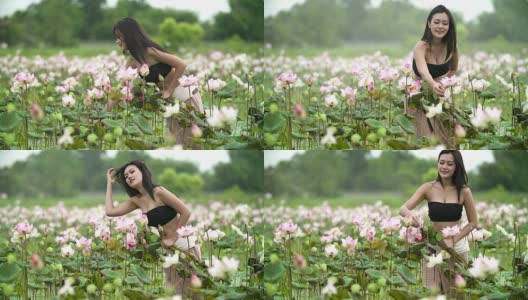 美丽的亚洲女子在莲花地里养花。高清在线视频素材下载