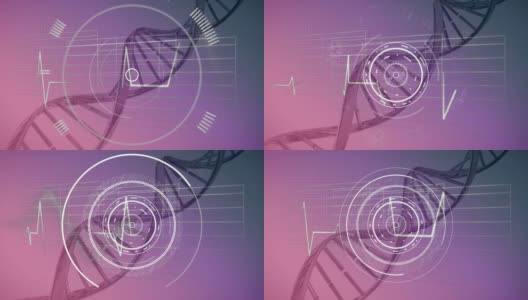将DNA链置于粉色和紫色的背景上高清在线视频素材下载