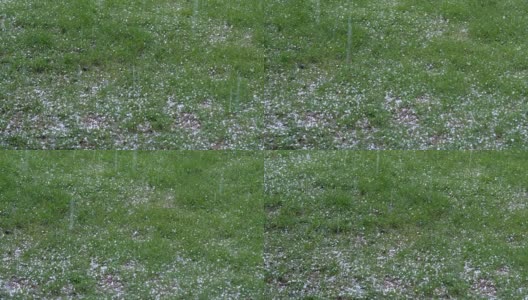 在夏天的绿草地上，在一个阴天下着冰雹的冰。暴风雨就要来了。高清在线视频素材下载