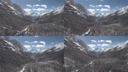 无人机飞行在高海拔山谷(双桥)与蓝天，雪林，山的背景高清在线视频素材下载