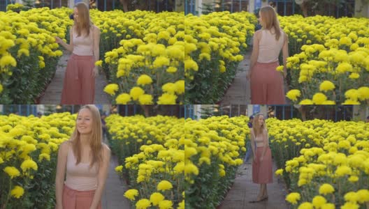 一名年轻女子走在东亚人为庆祝农历新年种植的大量黄花中。亚洲之旅概念高清在线视频素材下载