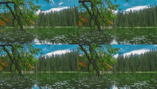 山蛇湖- Zmijinje Jezero在云杉森林的背景蓝色的天空。Durmitor,黑山。间隔拍摄4 k。高清在线视频素材下载