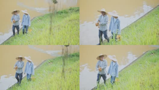 亚裔华人老人和他的儿子抱着鸡在鱼塘边的农场里散步高清在线视频素材下载