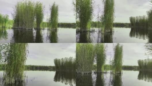 绿色的湖高清在线视频素材下载