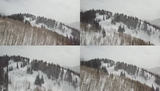 雪山松林俯视高清在线视频素材下载