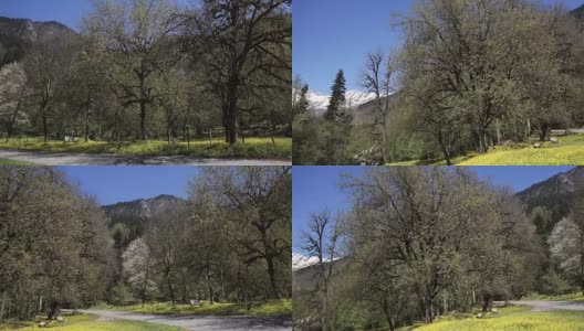 树木的景色和通往白雪覆盖的山脉的乡村小路高清在线视频素材下载