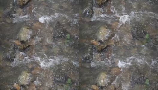 森林stream-slow运动高清在线视频素材下载