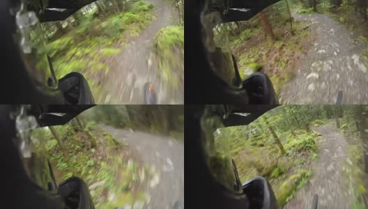 POV头盔mount山地车骑通过森林小径高清在线视频素材下载